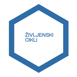 smm ŽIVLJENJSKI CIKEL